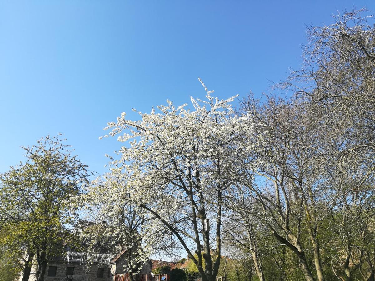 B&B De Dubbelmolen Tongeren Esterno foto