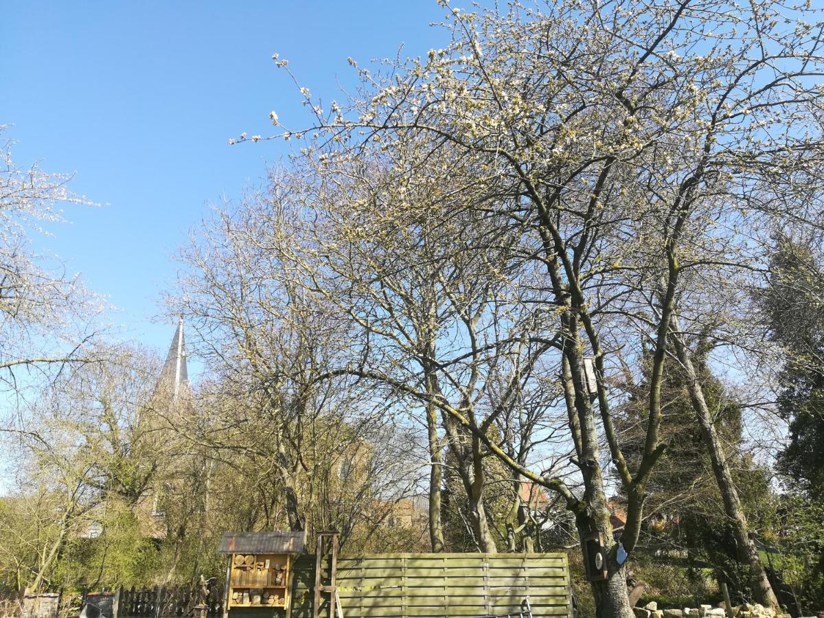 B&B De Dubbelmolen Tongeren Esterno foto
